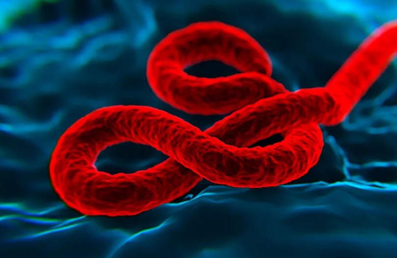 CDC varuje zdravotníky, aby se měli na pozoru před smrtícím virem podobným ebole v USA