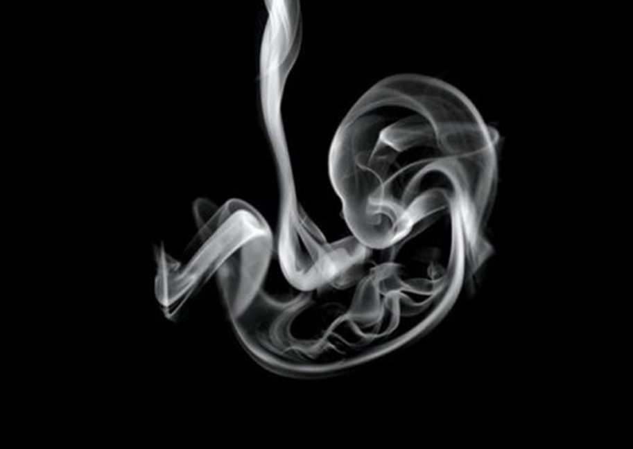 Co vidíte na obrázku? Podívejte se, co o vás říká tento test