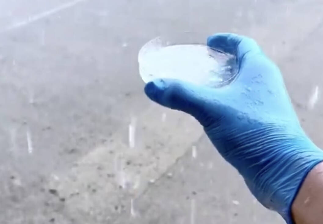 děšť pod mikroskopem